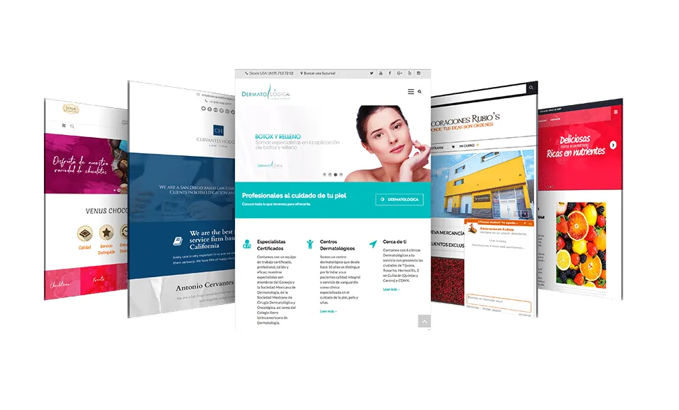 Diseño de páginas web en Cancún por Grupo Gurú